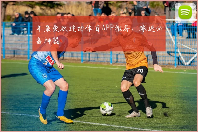 年最受欢迎的体育APP推荐，球迷必备神器