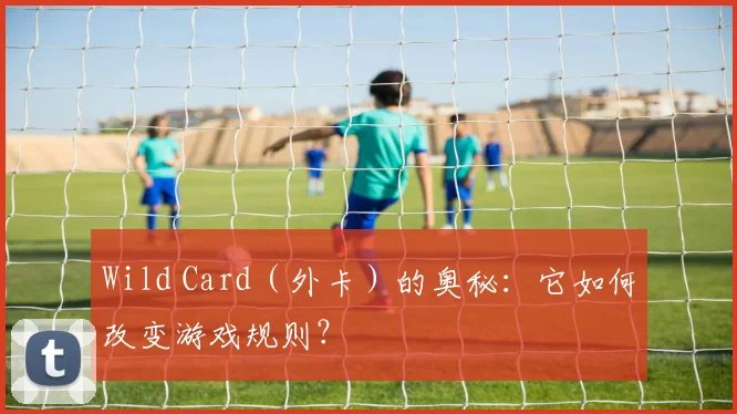 Wild Card（外卡）的奥秘：它如何改变游戏规则？